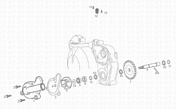 Kühlere Pumpe Senda R 50 X-Trem 3ed E2 2007 ( VTHSR1D1A,VTHSR1F1A,VTHSR1E1A