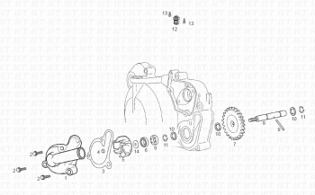 Kühlere Pumpe Senda R 50 X-Trem 3ed E2 2006 ( VTHSR1D1A,VTHSR1E1A,VTHSR1F1A