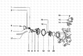 Zylinderkopf und Saugrohr Hexagon LXT ZAPM06000