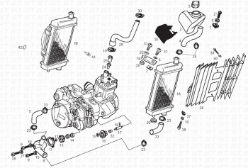 Kühlsystem Senda R 50 X-Trem 2 edicion E2 2005 ( VTHSR1A1A,VTHSR1B1A,VTHSR1C1A