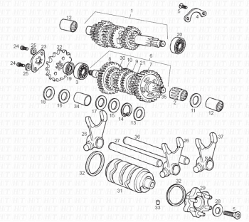 Komponenten des Getriebes Senda R 50 X-Trem 3ed E2 2006 ( VTHSR1D1A,VTHSR1E1A,VTHSR1F1A