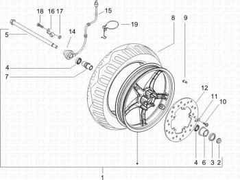 Vorderrad Runner SP 50 2005-2006 ( ZAPC46100