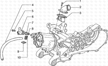 Zylinderkopf und Saugrohr Hexagon 125 EXS1T00010001