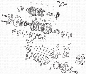 Komponenten des Getriebes Senda R 50 X-Trem 3ver E2 2008 ( VTHSR1D1A,VTHSR1F1A,VTHSR1E1A