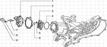 Zylinderkopf Hexagon 125 EXS1T00010001