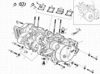 Carters Senda R 50 X-trem 2ª edicion 2002 (EMEA, NAFTA) VTHSDR1EB